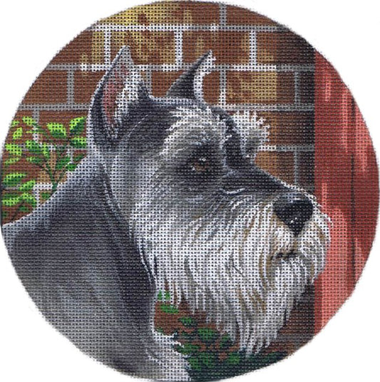 TTASP301 - Miniature Schnauzer