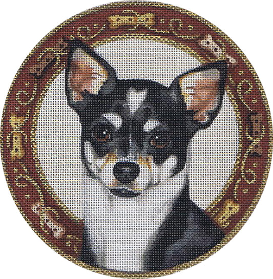 TTASP239 - Tri Color Chihuahua