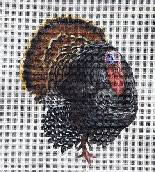TTASP280 - Turkey