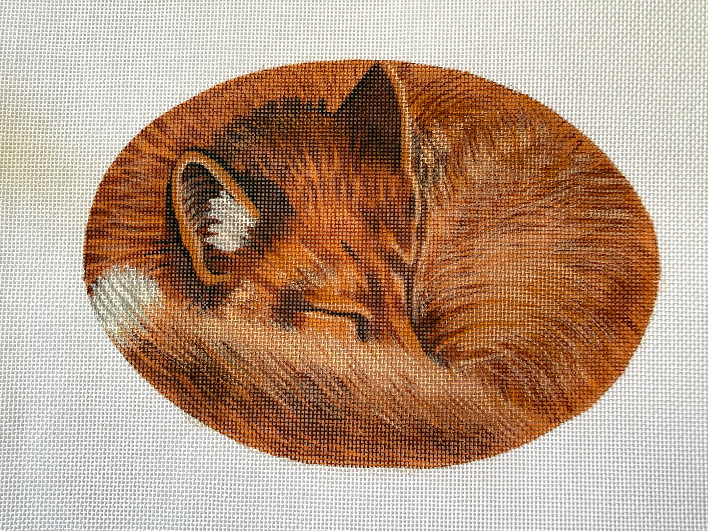 LGDASP402- Sleeping Fox