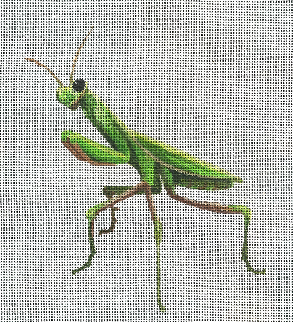 LGDSP412 - Praying Mantis