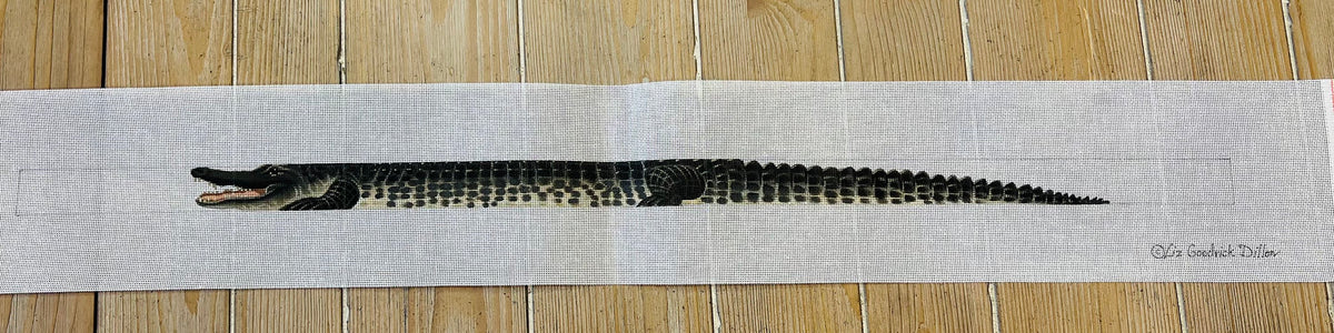 TTB146 - Alligator Belt