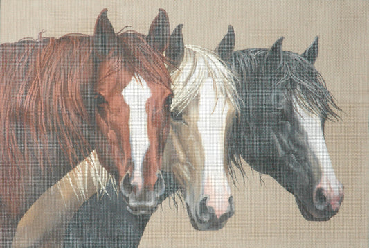 TTAP436 -Three Blaze Horses