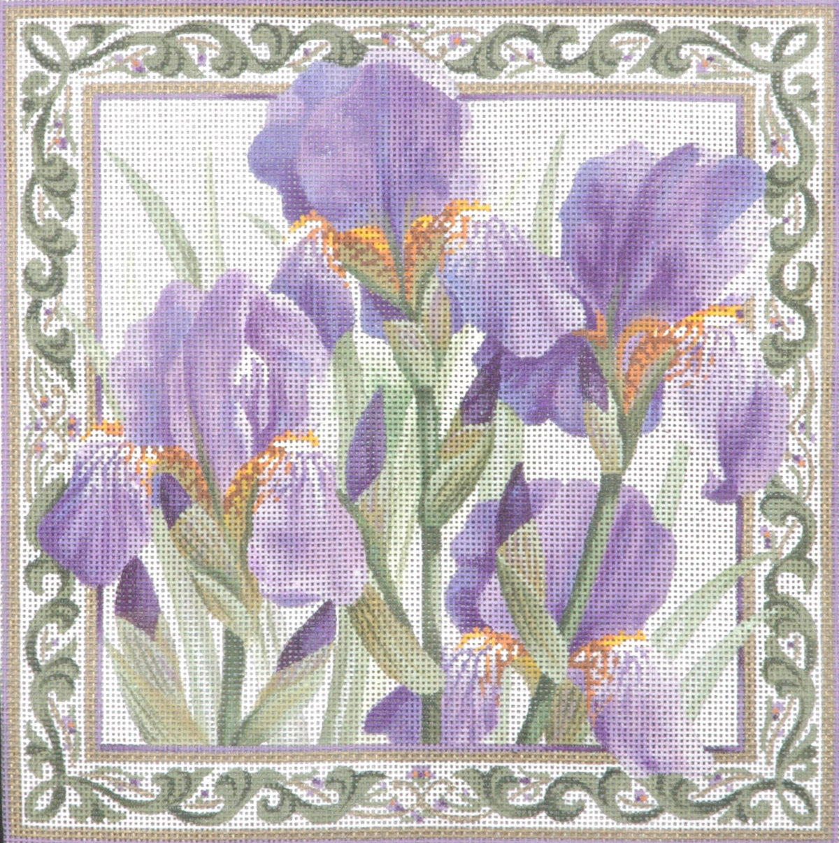 TTAP381-13 - Purple Iris