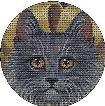 TTASP178- Cat 4
