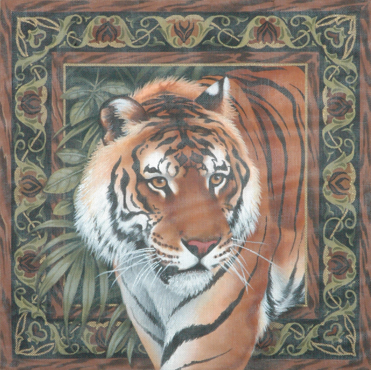 TTAP370 - Tiger
