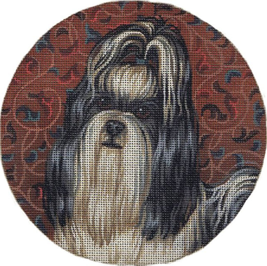 TTASP281 -Shih Tzu