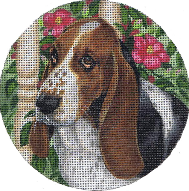 TTASP283 - Basset Hound