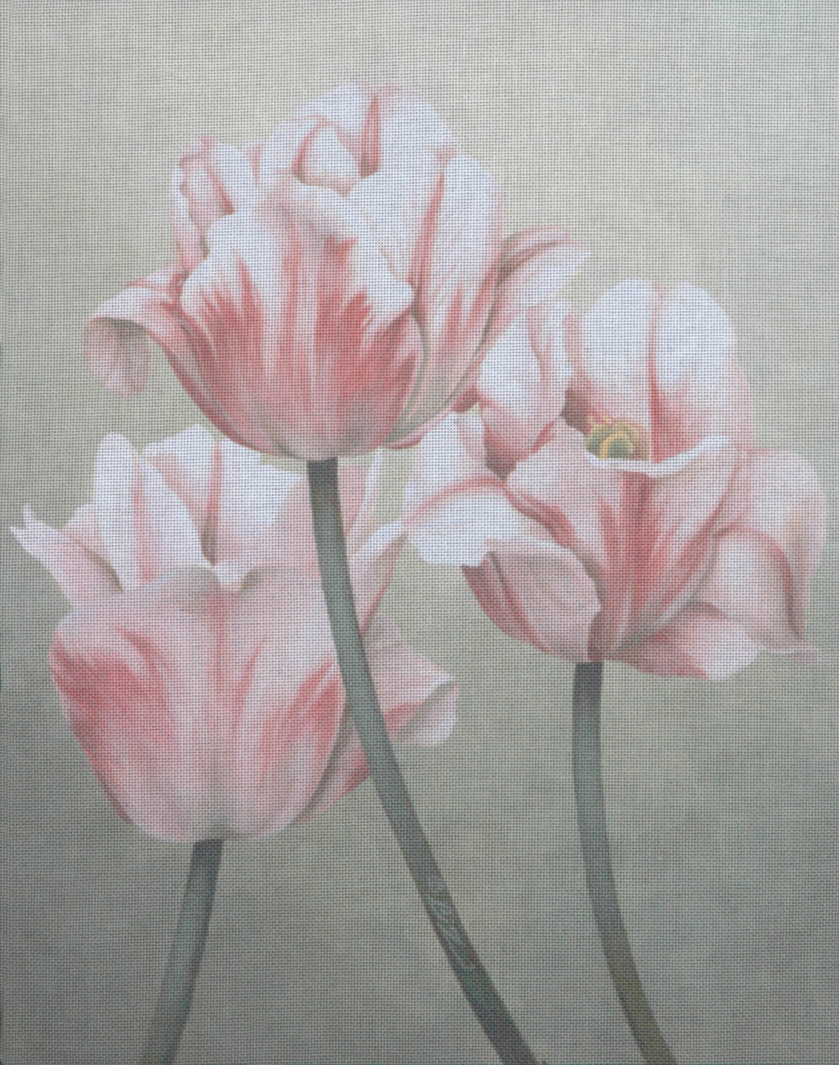 TTAP417- Pink & White Tulips