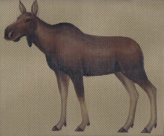 TTASP329 -Cow Moose
