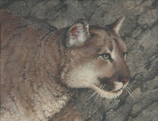 TTAP450 -Cougar