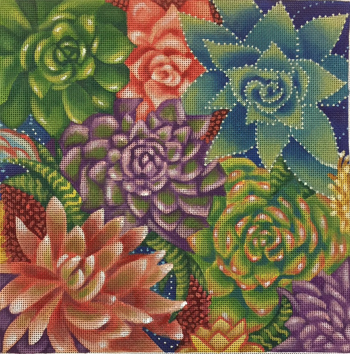 ADP213 -Succulents