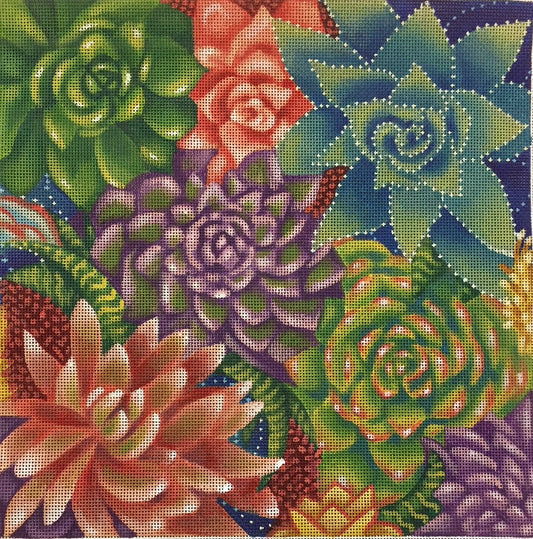 ADP213 -Succulents