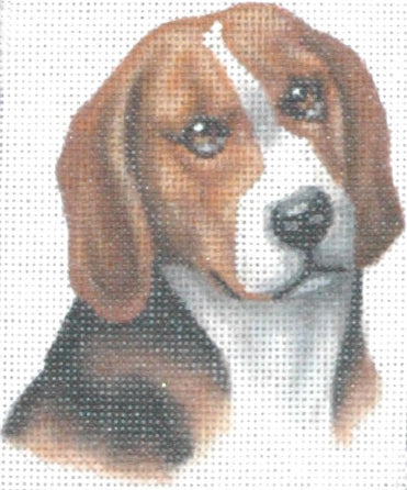 TTASP183- Beagle