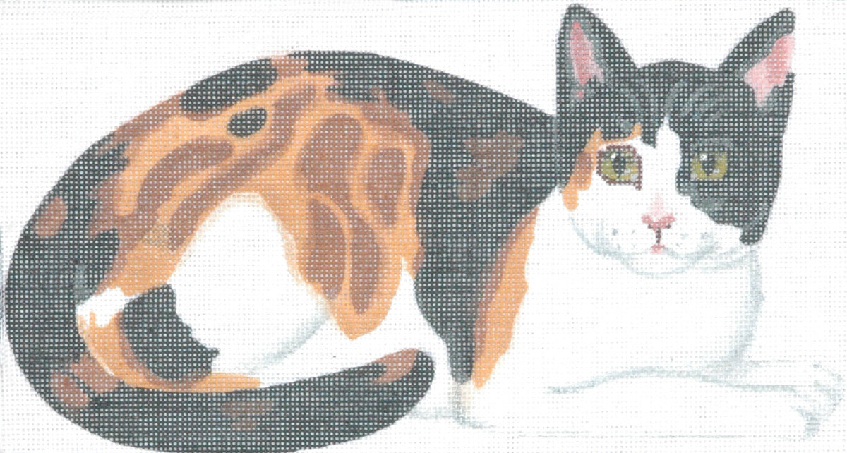 TTAP281-13 - Couch Kitty 1