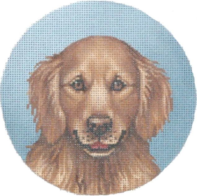 TTASP173 - Golden Retriever
