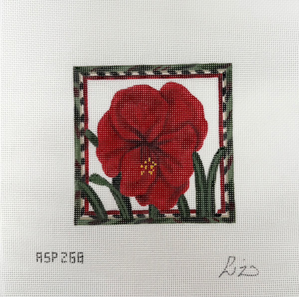 TTASP268 - Amaryllis