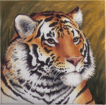 LGDASP403 - Tiger