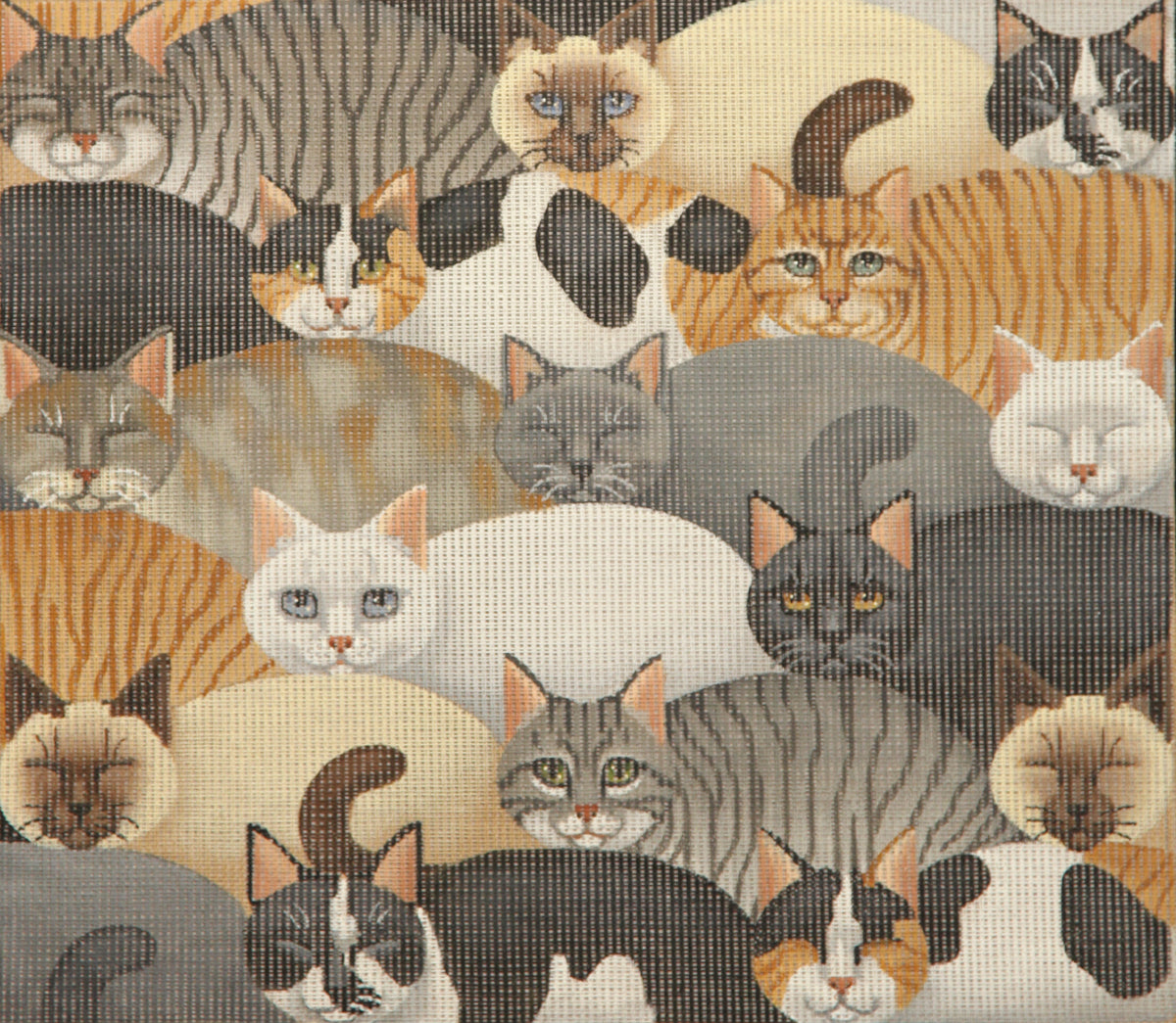 TTAP255-13 kitty, kitty, kitty