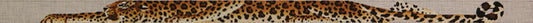 TTB125 - Leopard Belt