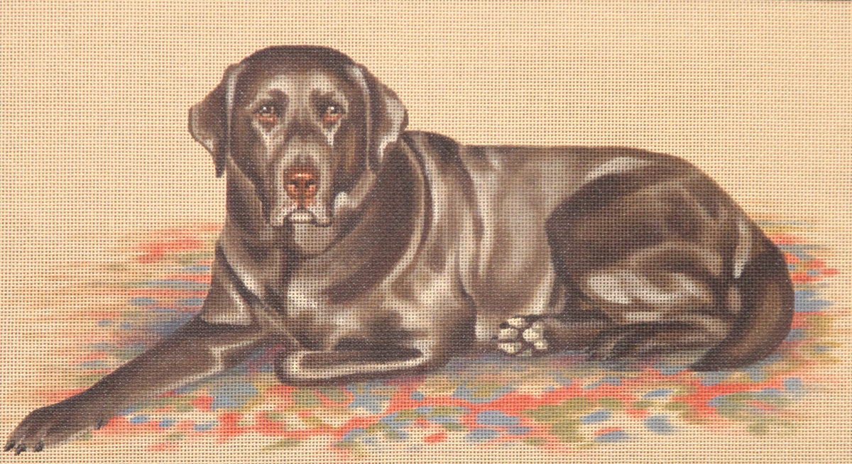 TTAP479- Chocolate Lab