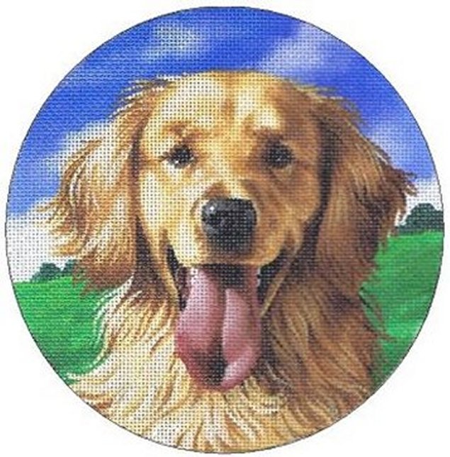 TTASP300 - Golden Retriever
