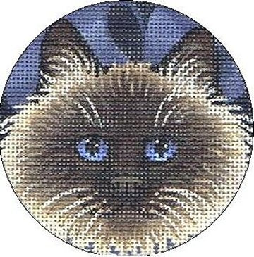 TTASP175- Cat 1
