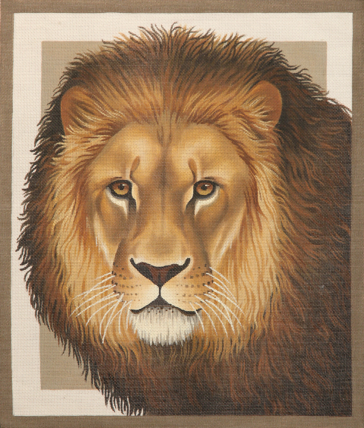 TTAP265 - Lion