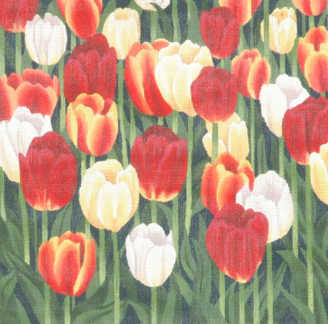 TTAP270- Tulips