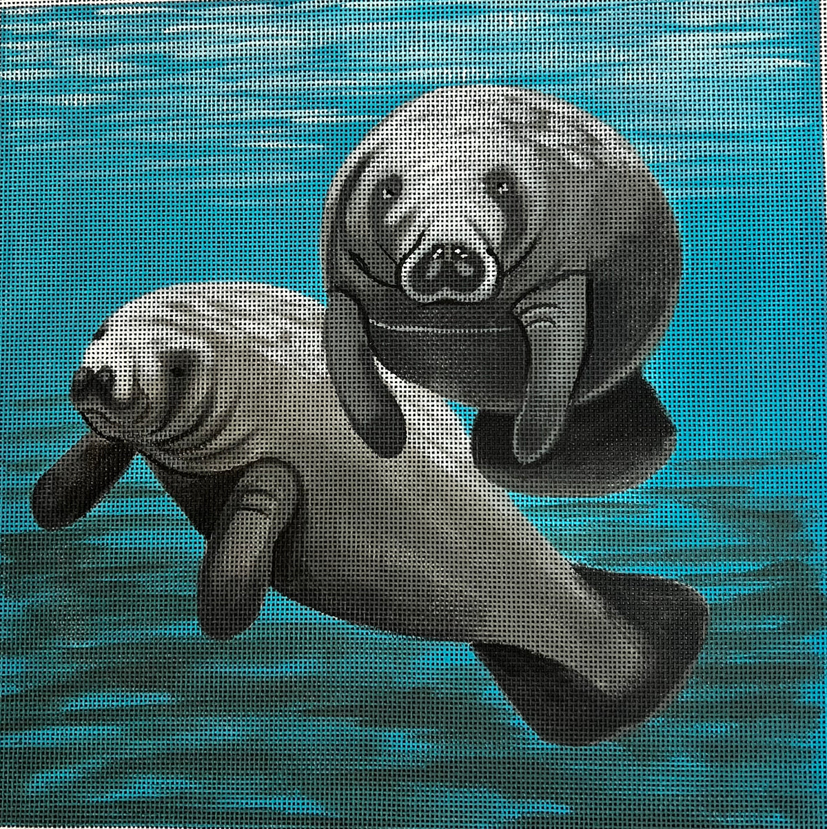 TTAP247 - Manatees