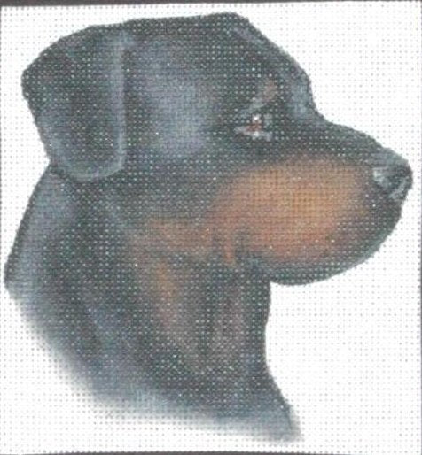 TTASP184- Rottweiler
