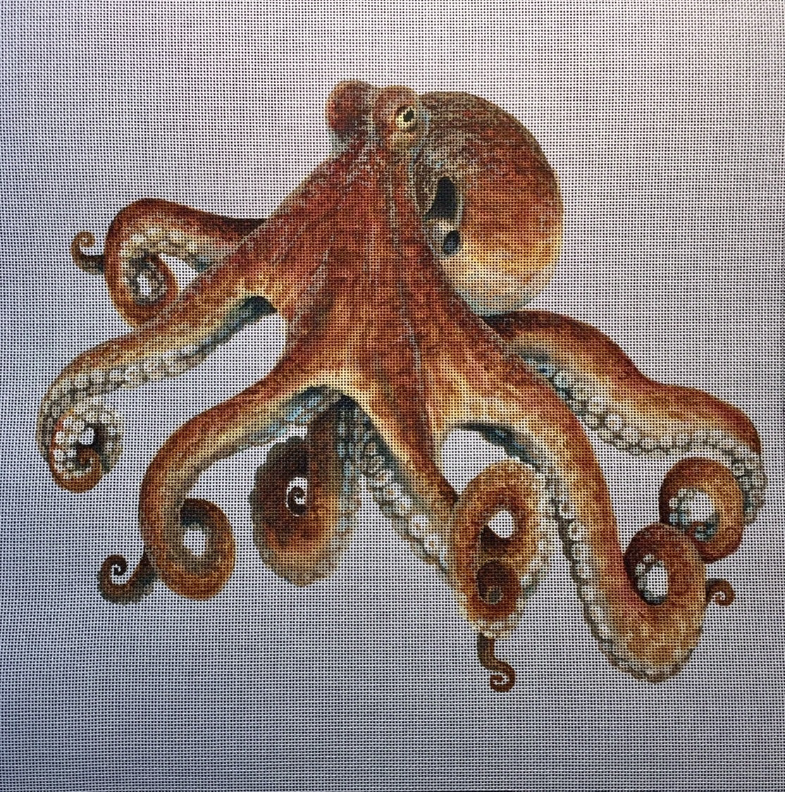 LGDP518 - Octopus
