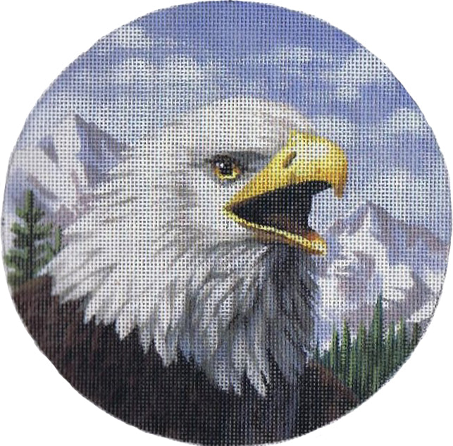 TTASP317 - Bald Eagle