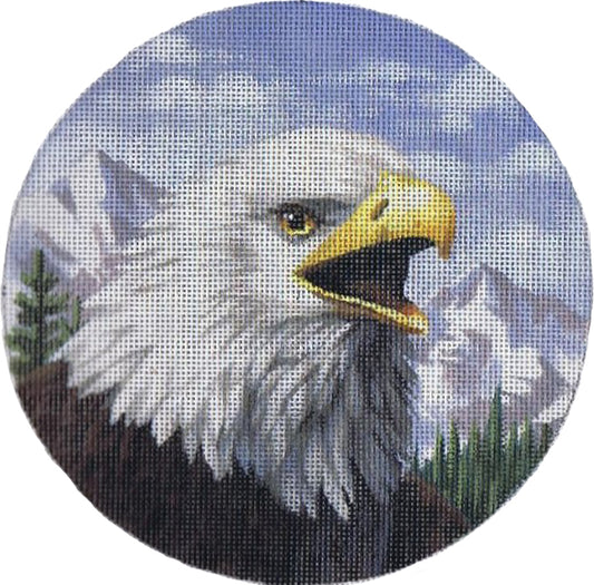 TTASP317 - Bald Eagle