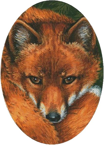 LGDASP401- Red Fox Face