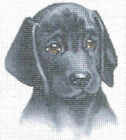 TTASP160 - Black Lab Puppy
