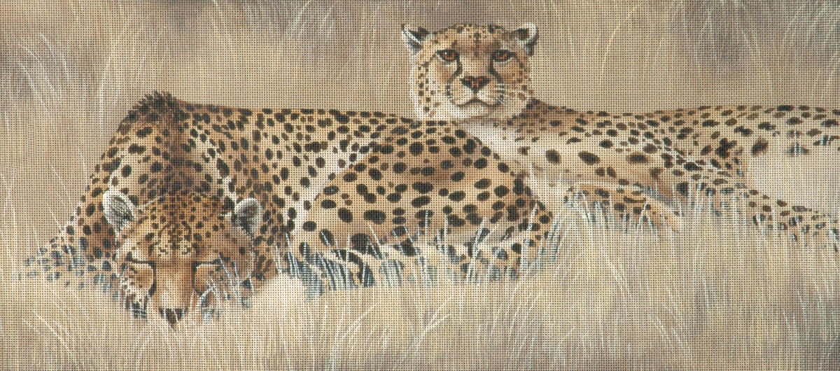 TTAP469 - Cheetah Pair
