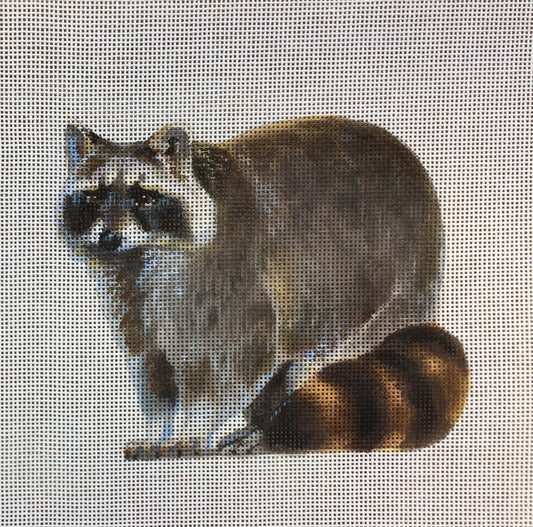 LGDASP417-Raccoon