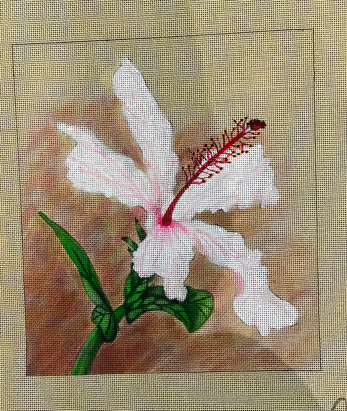 TTASH162 - Hibiscus