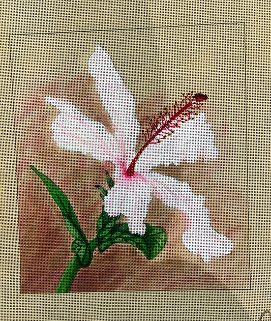 TTASH162 - Hibiscus