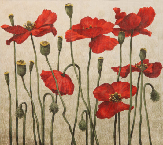 TTAP435-13 - Red Poppies
