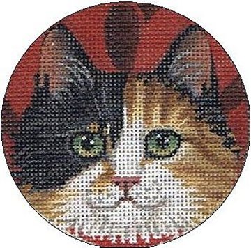 TTASP176- Kitty 2