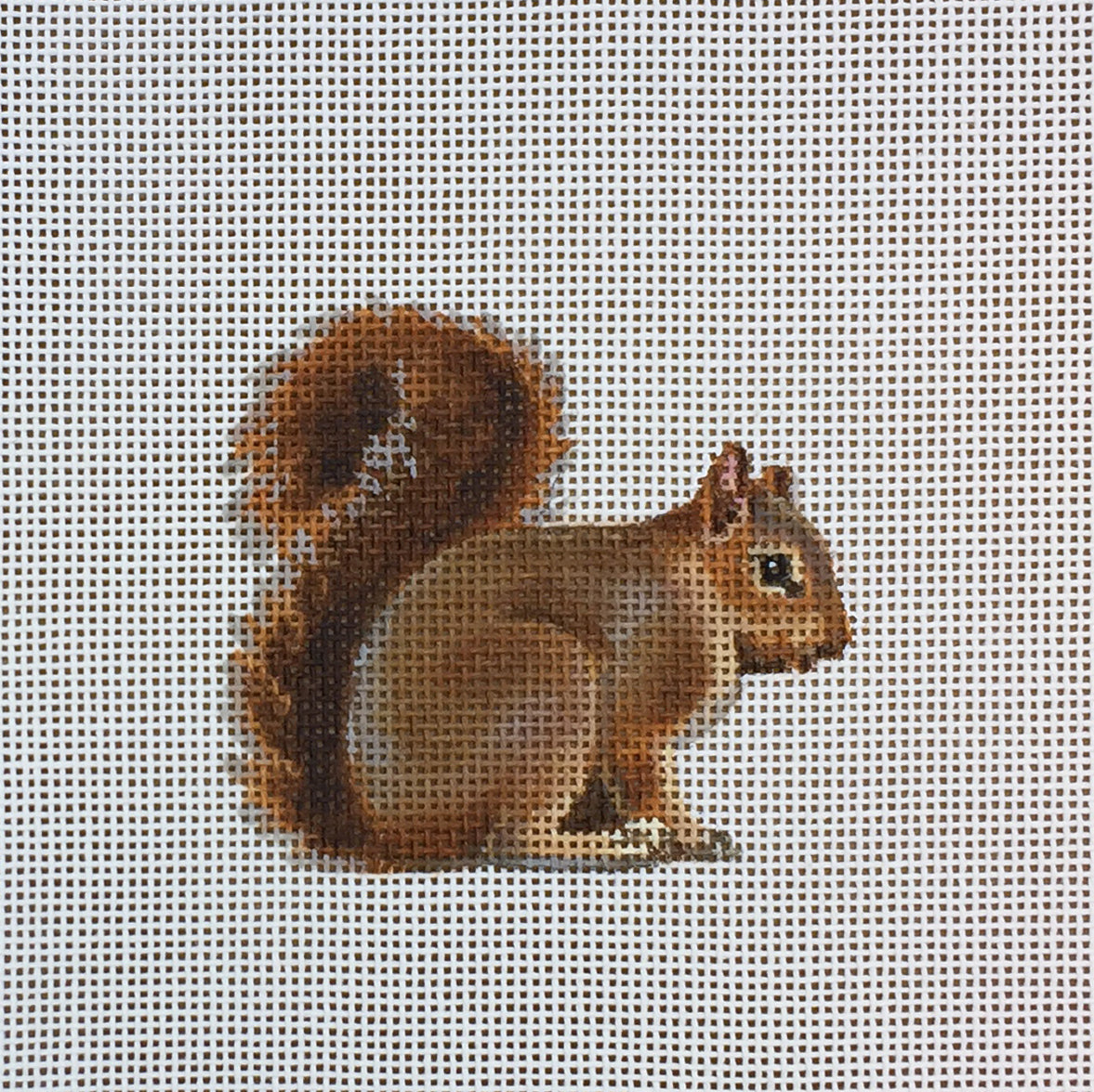 LGDOR306 - Squirrel