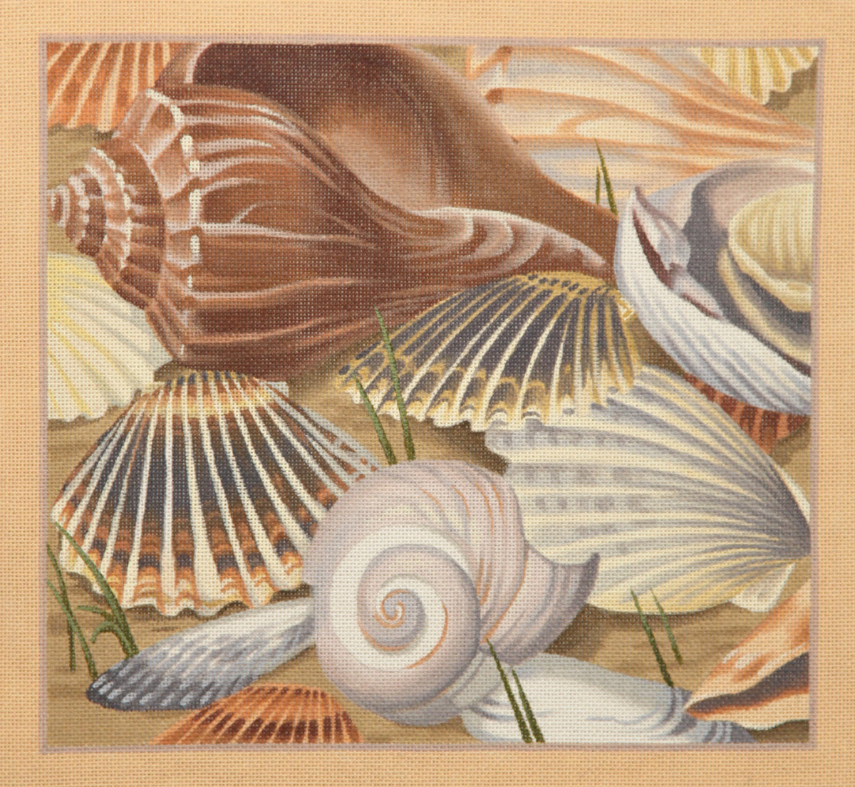 TTAP304- Seashells