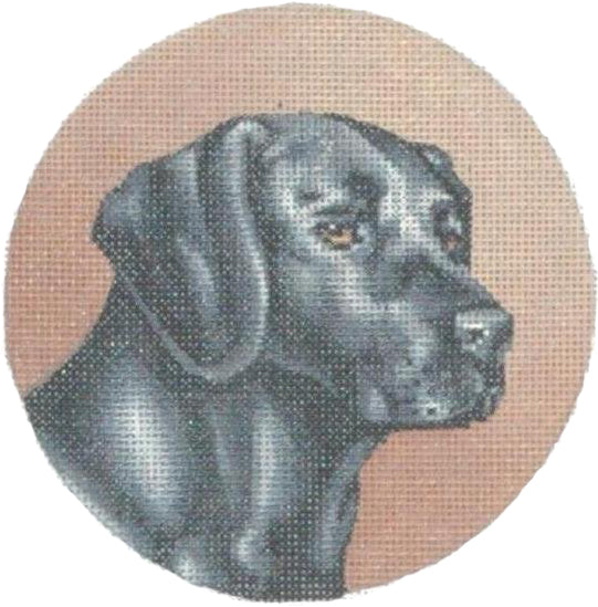 TTASP172 - Black Lab