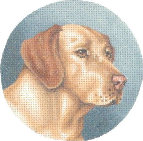 TTASP168 - Golden Lab