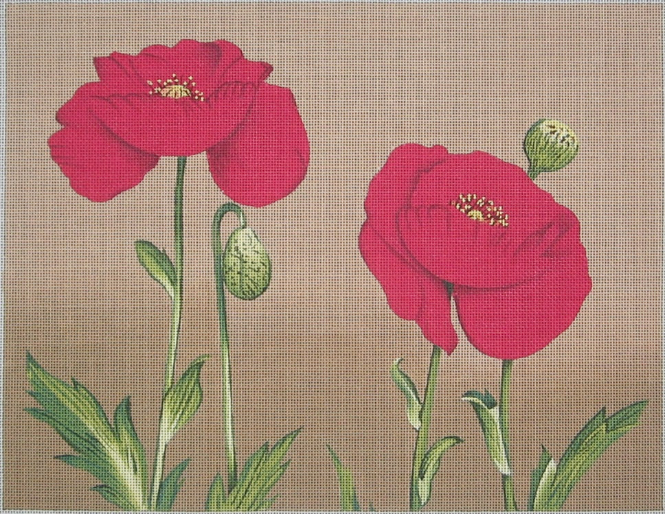 LGDP506 - Two Red Poppies
