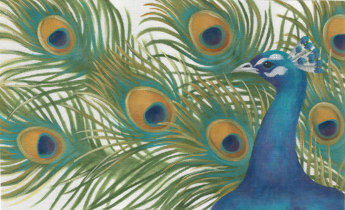 LGDP522 - Peacock