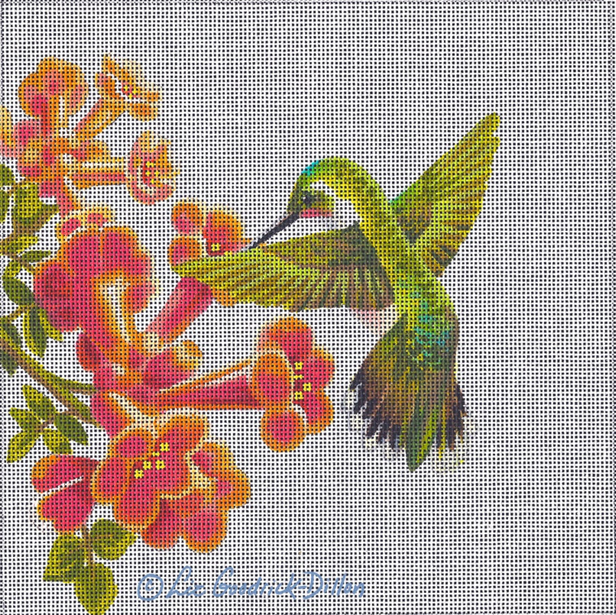 LGDSP408 - Hummingbird in Trumpet Vine