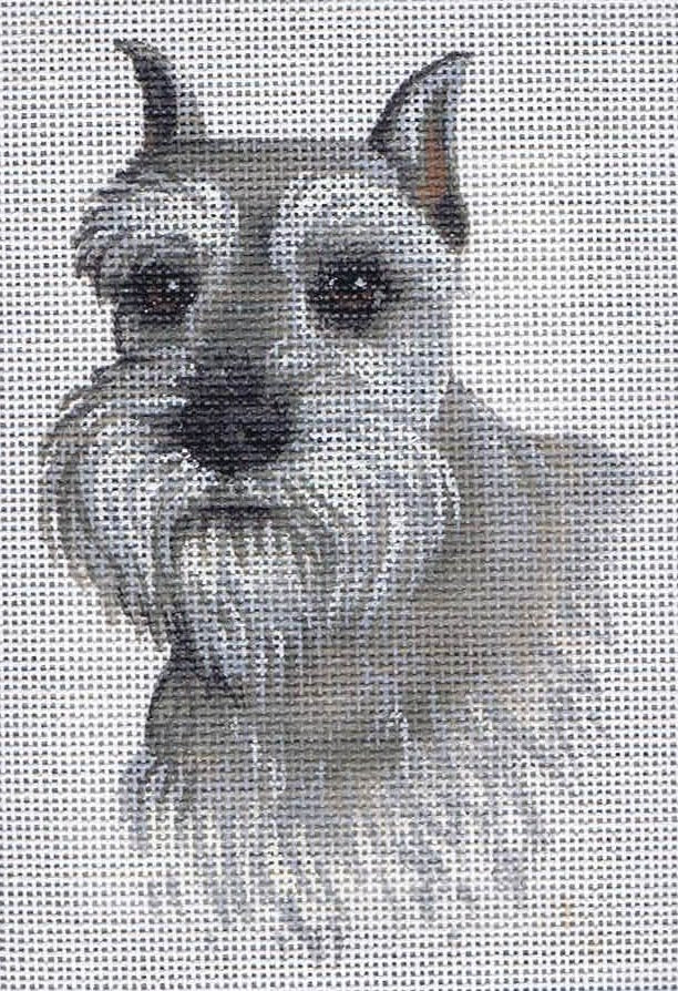 TTASP196 -Miniature Schnauzer
